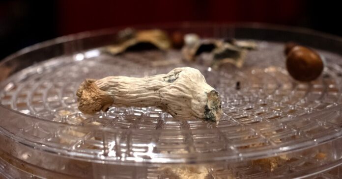 1b6defa3-76df-4e9f-a54e-83ac317539fe