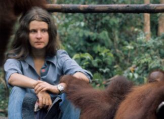 Birute Galdikas, pionierka badań nad orangutanami, zmarła w wieku 79 lat