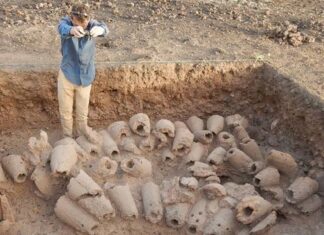Un ancien atelier de fer révèle des siècles de métallurgie ouest-africaine