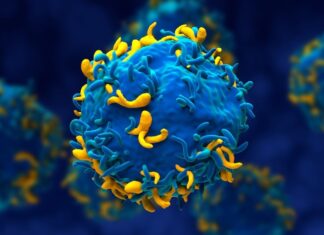 Immune System ‘Reset’ Leads to Remission for Patient with Triple Autoimmune Diagnosis