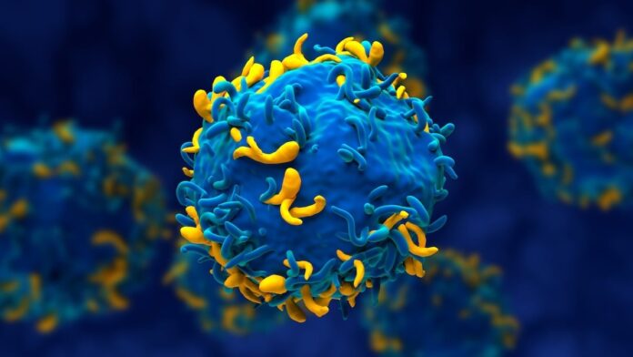 70d6be31-559c-4d37-9fde-64efcbd07204