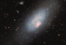 Kosmische bestemming: hoe donkere materie “bumpers” de sterrenstelsels van het universum vormen