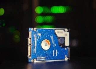 Ukryty koszt emisji zielonej kryptowaluty: sprawa sieci Chia