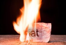 De geheime schakelaar van Brown Fat kan zachte botten redden