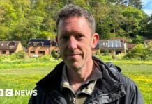 Shadowhunting v Shropshire: boj o přežití polních myší