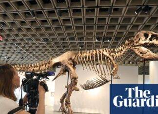 Lelang T rex menghantam sains