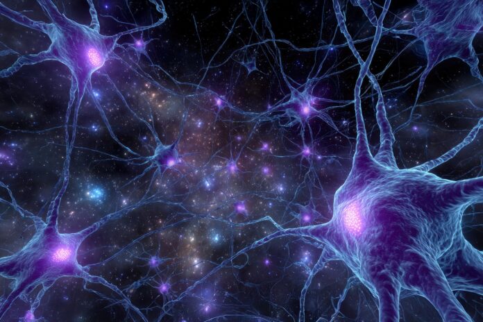 3143f182-48d2-4bc8-bb4b-87b6d5a98170