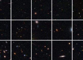 Euclid Menemukan Quasar Kuno yang Dirindukan Semua Orang