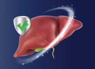 How Gut-Targeted Drug DT-109 May Reverse Fatty Liver Disease